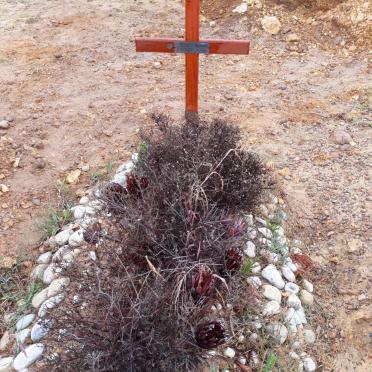 HENNING Peter W. 1958-2019