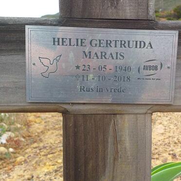 M - Surnames :: Vanne - M