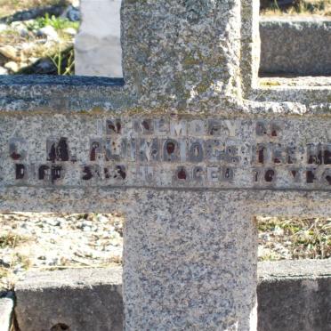 PLUMRIDGE C.M. nee HENN -1911