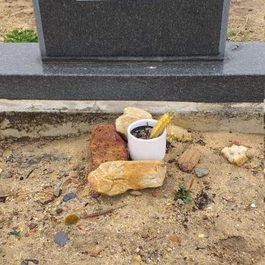 SCHOEMAN Steyn 1990-2009