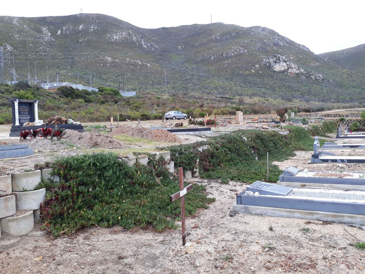 4. Overview / Oorsig