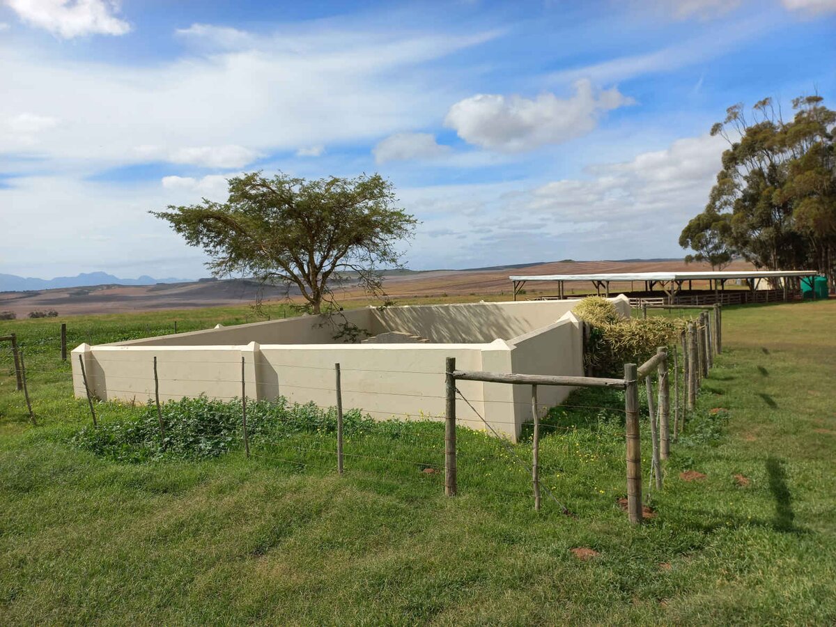 1. Overview / Oorsig