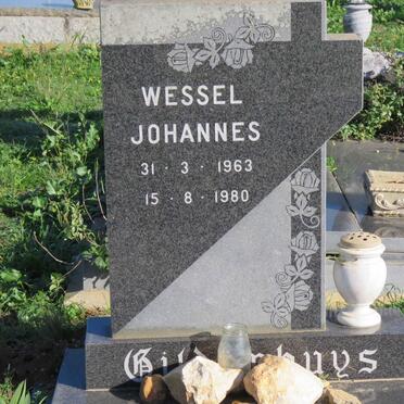 Western Cape, HEIDELBERG district, Rural (farm cemeteries)