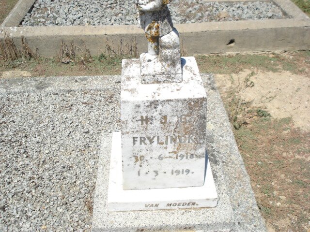 FRYLINCK H.J.G. 1918-1919