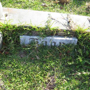 KAPP Michiel  H. 1931-1985