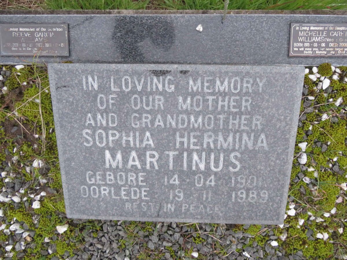 MARTINUS Sophia Hermina 190?-1989 :: WILLIAMS Reeve Garcia 2001-2006 :: WILLIAMS Michelle Carette nee CARELSE 1975-2008_1