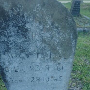 MCCARTH? Ben Harold 1961-1965