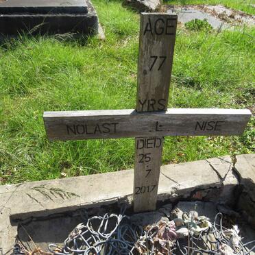 NISE Nolast L. -2017