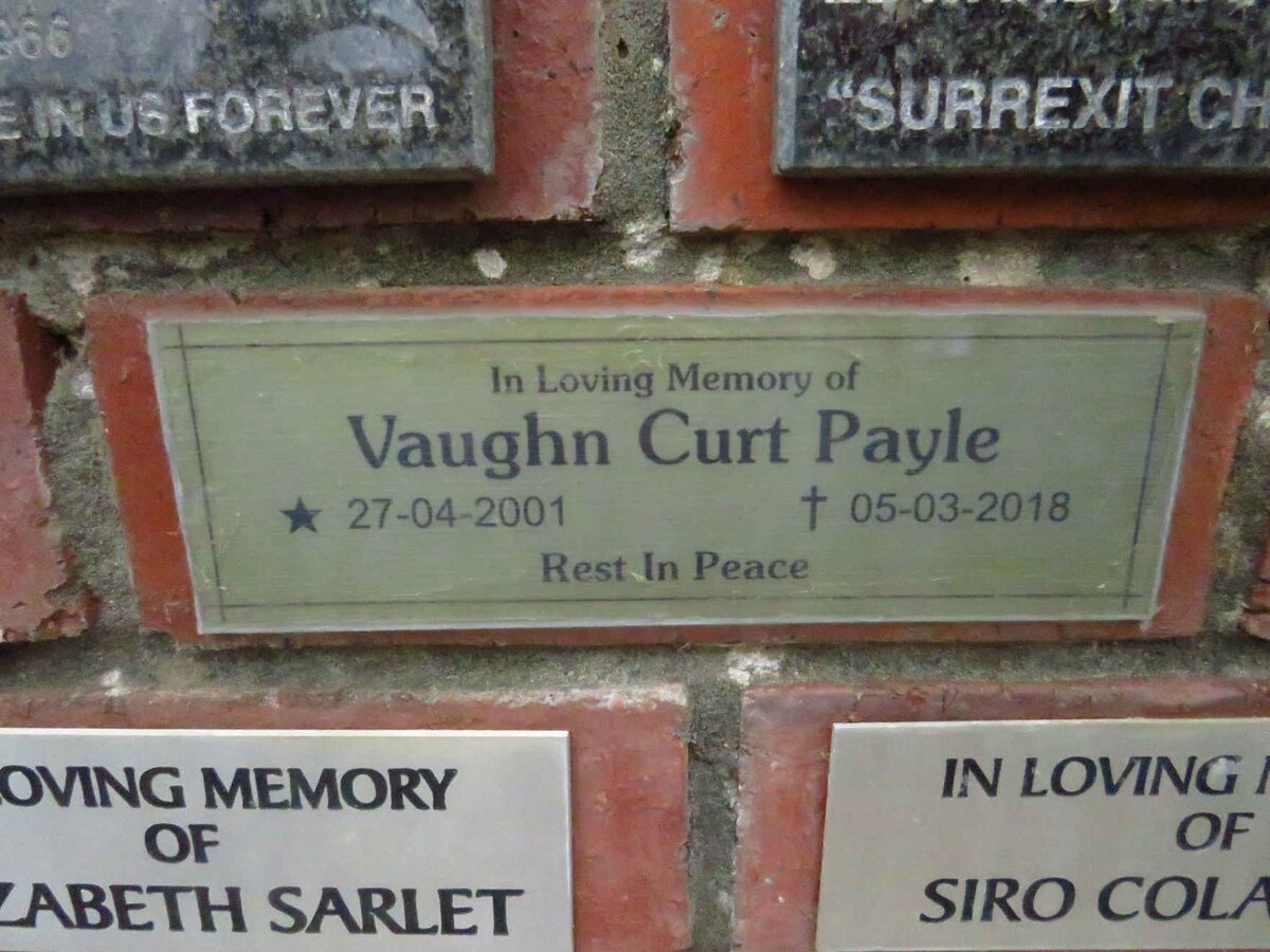 PAYLE Vaughan Curt 2001-2018