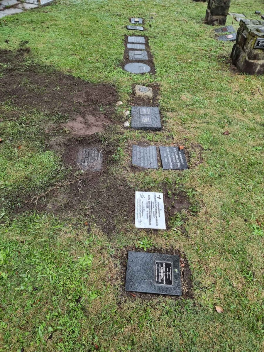 3. Overview / Oorsig