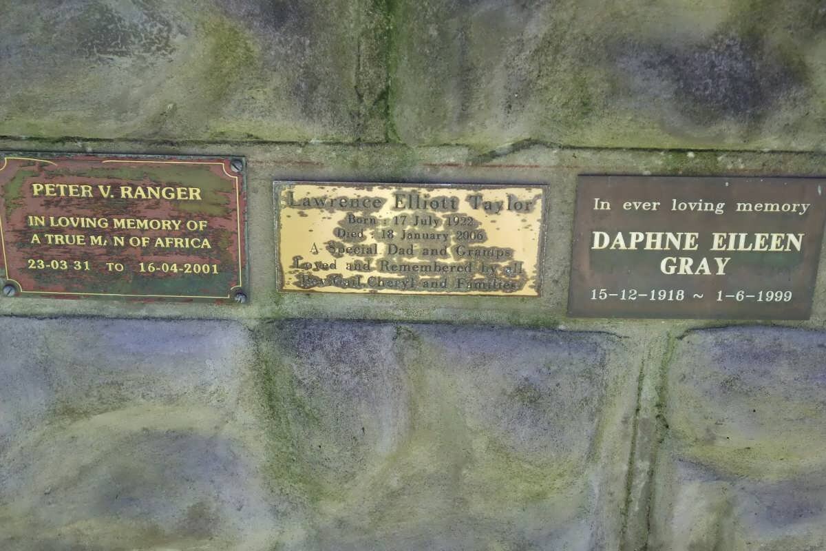 RANGER :: TAYLOR :: GRAY