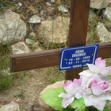 ERASMUS Siena 1969-2015