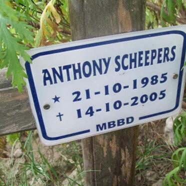 SCHEEPERS Anthony 1985-2005
