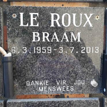 ROUX Braam, le 1959-2013