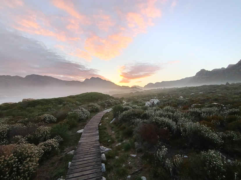 1. Oorsig / Overview