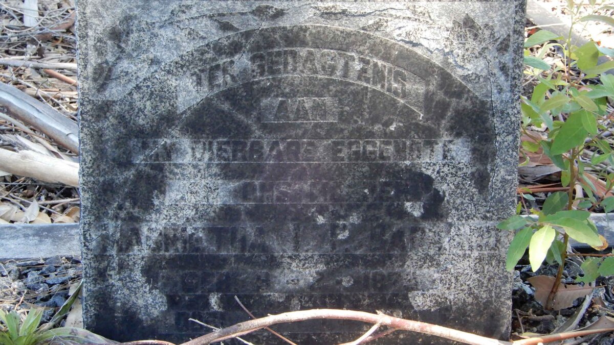 BARNARD Magrietha I. P. 18??-19??