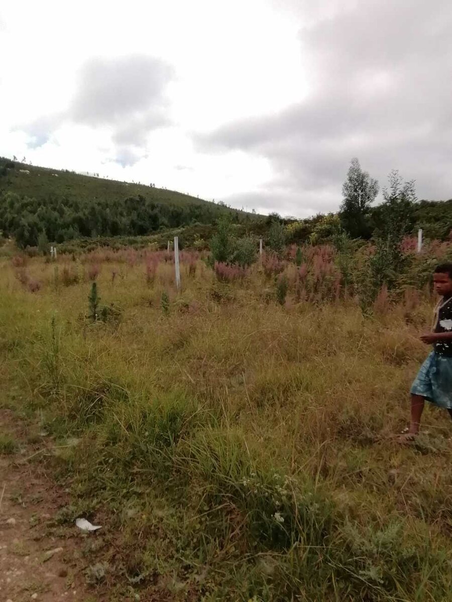 1. Overview / Oorsig