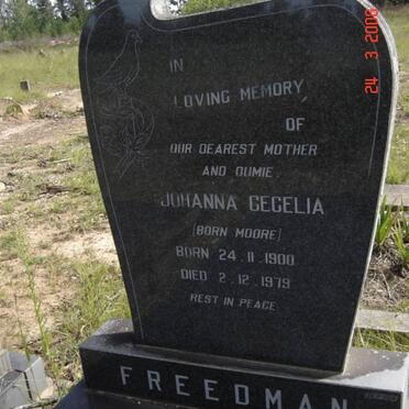 FREEDMAN Johanna Cecelia née MOORE 1900-1979