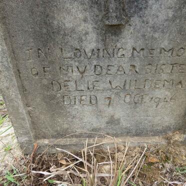 WILDEMAN Delie -1946