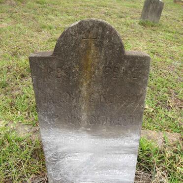 HARKER F.J. 1879-1965