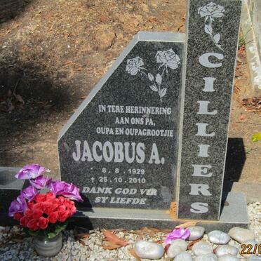 CILLIERS Jacobus A. 1929-2010