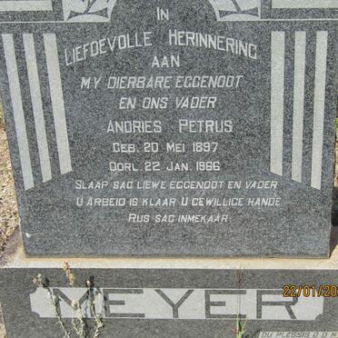MEYER Andries Petrus 1897-1966