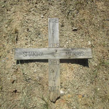 MORRIS Shakira -2012