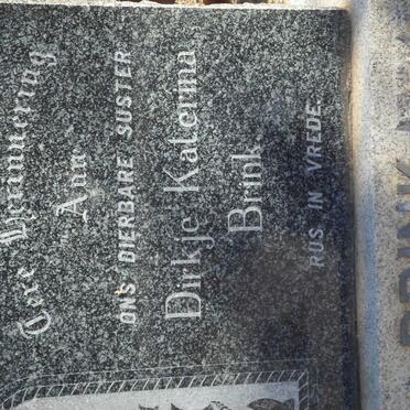 BRINK Dirkje Katerina