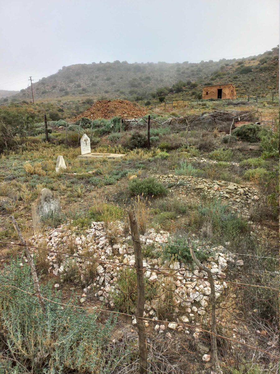 2. Oorsig / Overview