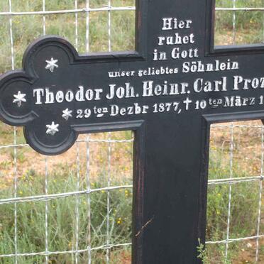 PROSESKY Theodor Joh. Heinr. Carl 1877-1878