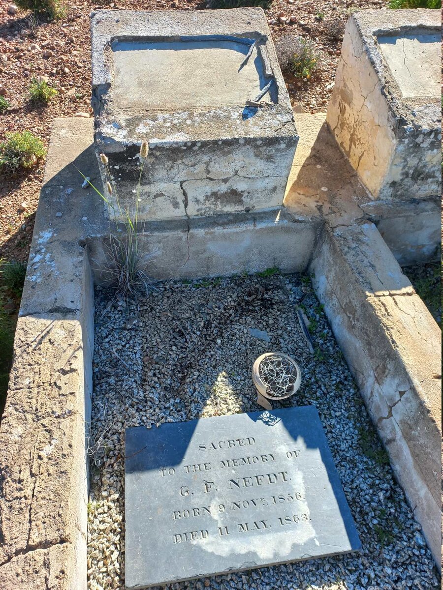 NEFDT G.F. 1856-1863