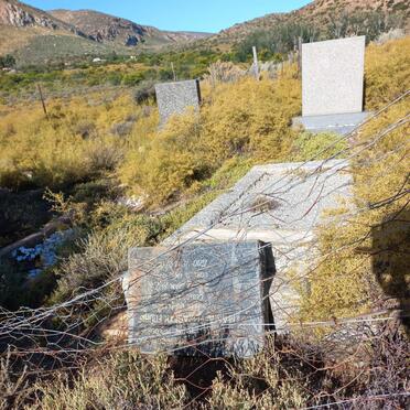 3. Overview / Oorsig