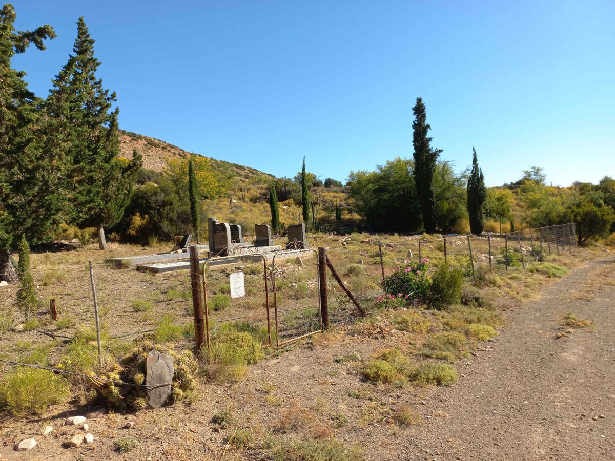 1. Oorsig / Overview 