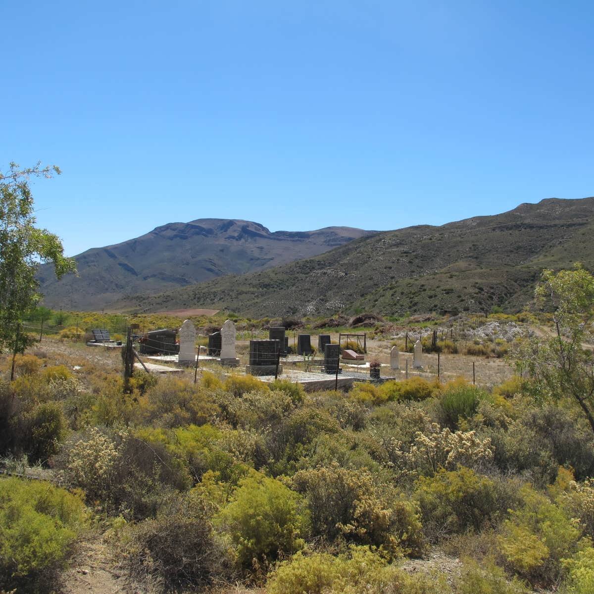 2. Overview on the cemetery