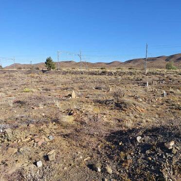 1. Oorsig / Overview