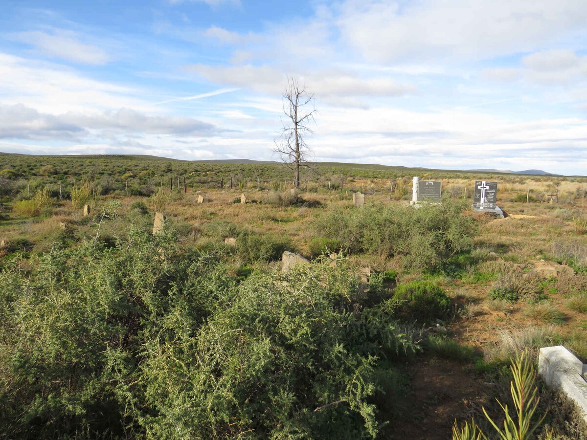 2. Oorsig / Overview