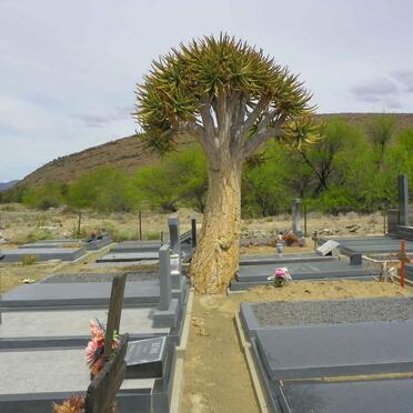 4. Overview / Oorsig