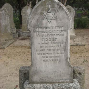 BOROCHOWITZ Shaine -1913