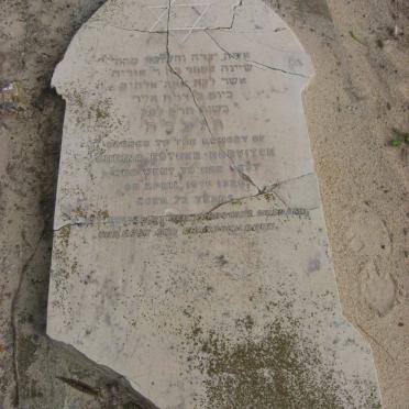 HORVITCH Sheina Esther -1920