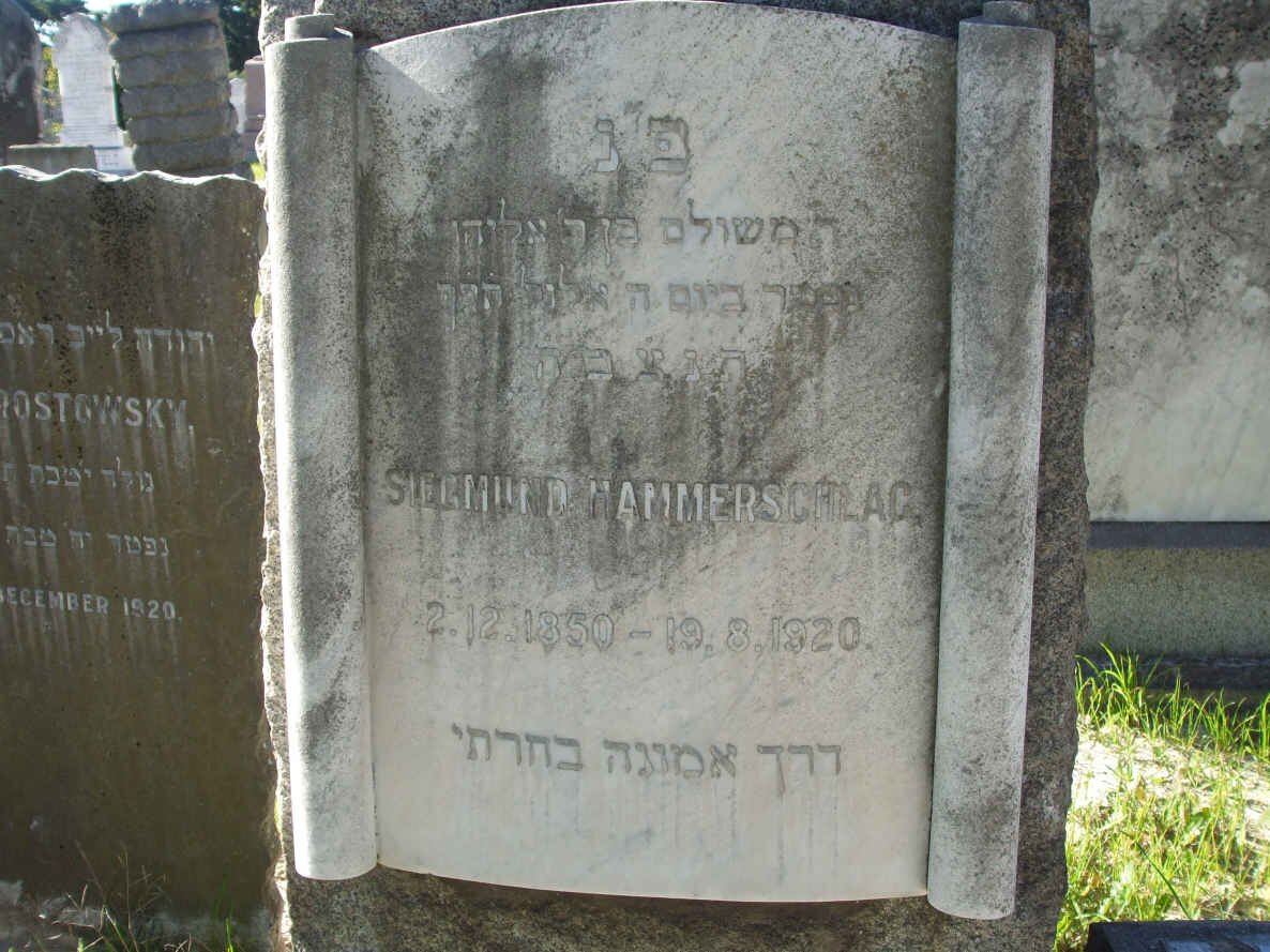 HAMMERSCHLAG Siegmund 1850-1920