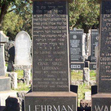 LEHRMAN Chaie Sirel  -1950