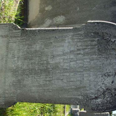 RICHFIELD Rose -1922