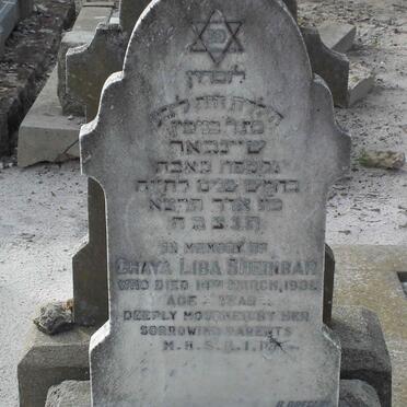 SHEINBAR Chaya Liba -1931