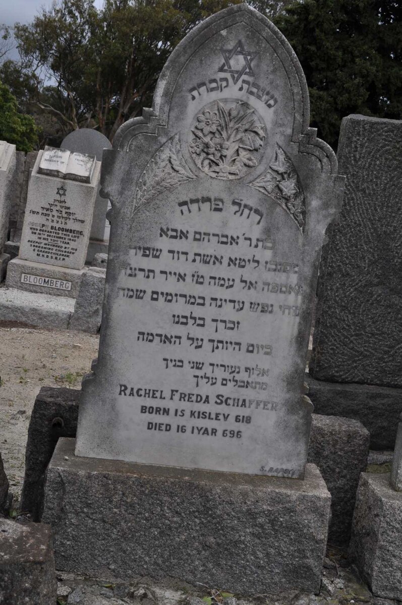 SCHAFFER Rachel Freda