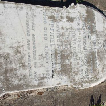 SEGAL Freidel  -1925