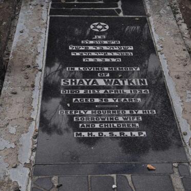 WATKIN Shaya -1934