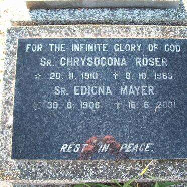 7. Religious Sisters from various Congregations