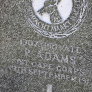 ADAMS P. -1917
