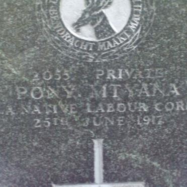 MTYANA Pony −1917