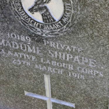 SHIPAPE Madumi -1918